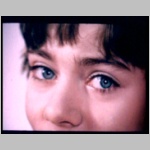 PDVD_024.jpg